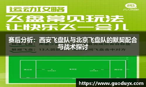 熊猫体育官网